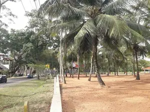 අනුරාධපුර පාදෙණිය ප්‍රධාන පාරෙන් ඉඩමක් විකිණීමට