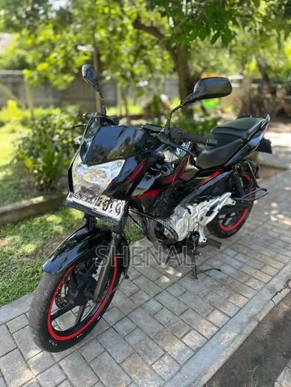 Bajaj Pulsar 135 2013