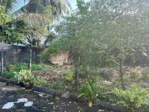 Near Kandy Road Land For Sale Balummahara