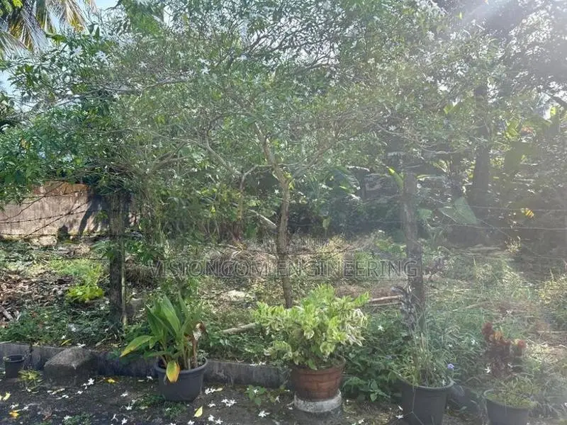 Near Kandy Road Land For Sale Balummahara