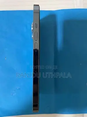 Apple iPhone 13 Pro 256GB (Used)