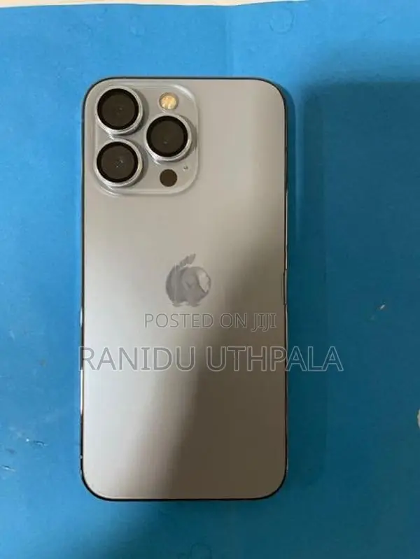 Apple iPhone 13 Pro 256GB (Used)