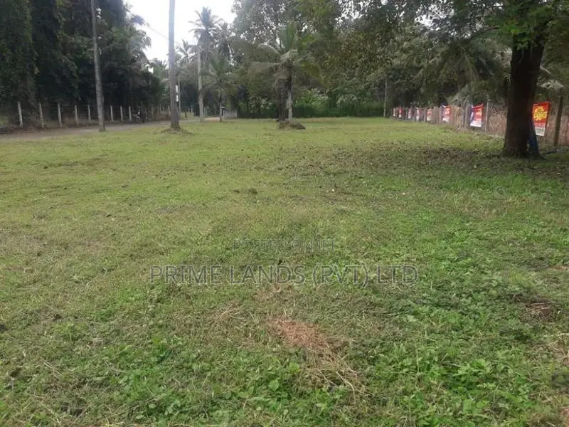 කුලියාපිටිය නගරයට ආසන්නයේ පදිංචියට ඉඩමක්