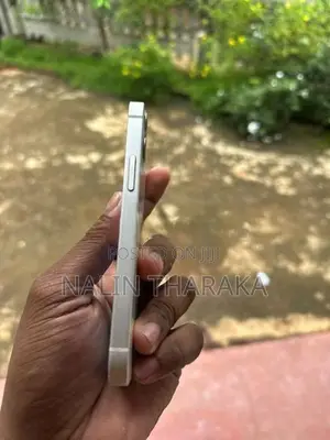 Apple iPhone 12 (Used)