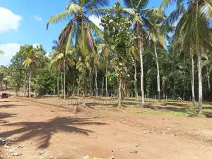 කුරුණෑගල නුවර පාරට අසන්නයෙන් ඉඩමක් විකිණීමට
