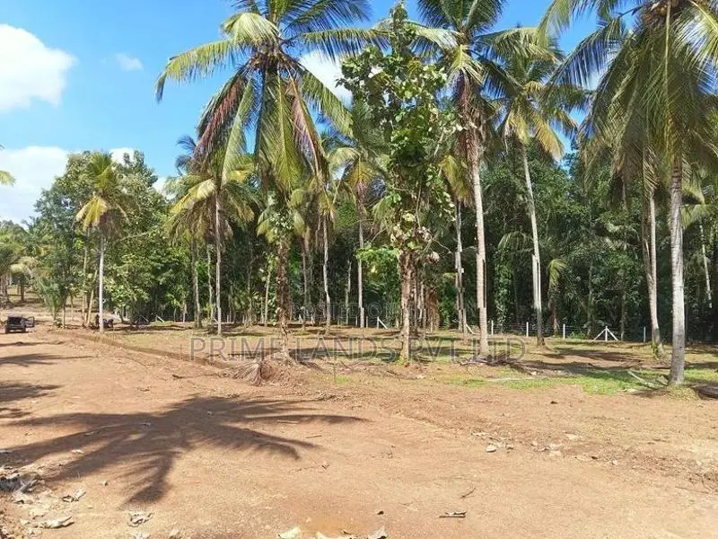 කුරුණෑගල නුවර පාරට අසන්නයෙන් ඉඩමක් විකිණීමට
