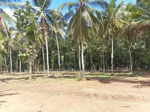 කුරුණෑගල නුවර පාරට අසන්නයෙන් ඉඩමක් විකිණීමට