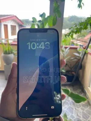 Apple iPhone 12 Pro Max (Used)