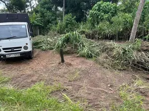 Gampaha Land For Sale
