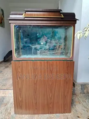 Fish Tank