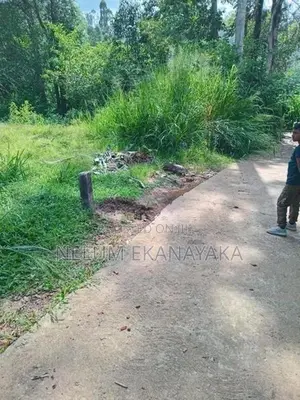 ඉඩමක් විකීනීමට ඇත