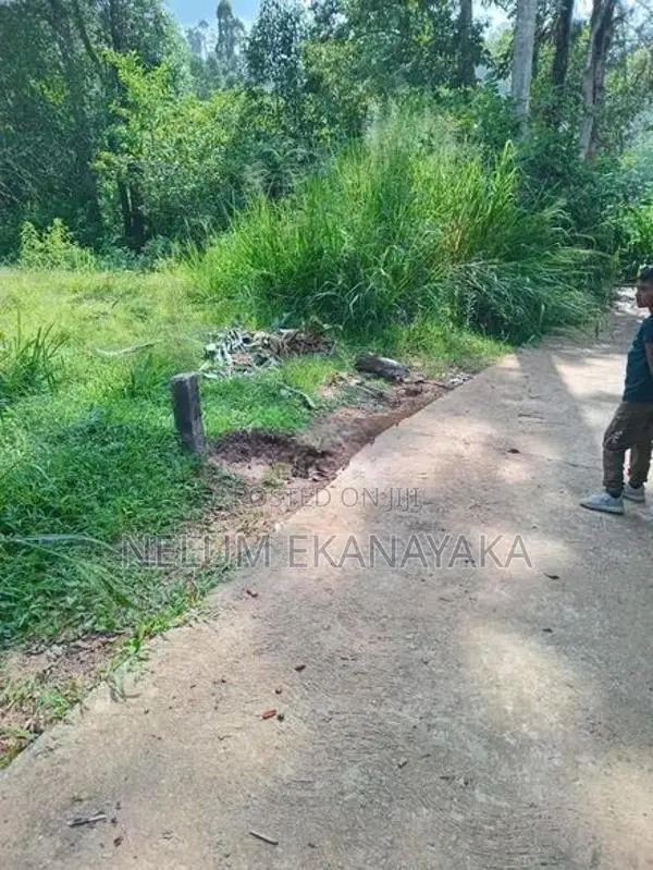 ඉඩමක් විකීනීමට ඇත