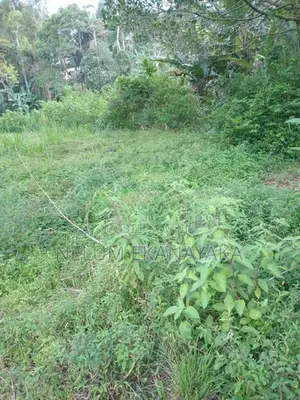 ඉඩමක් විකීනීමට ඇත