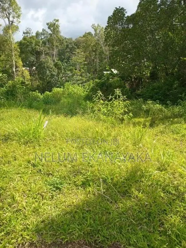 ඉඩමක් විකීනීමට ඇත