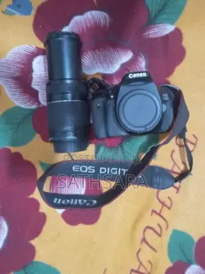 Canon 600d /55-250 Teliphoto Lens