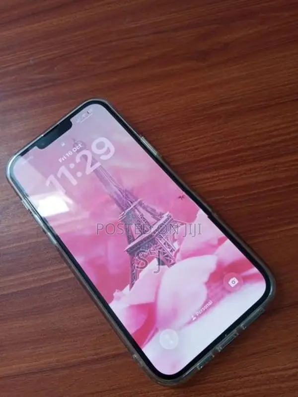 Apple iPhone 13 Pro Max (Used)