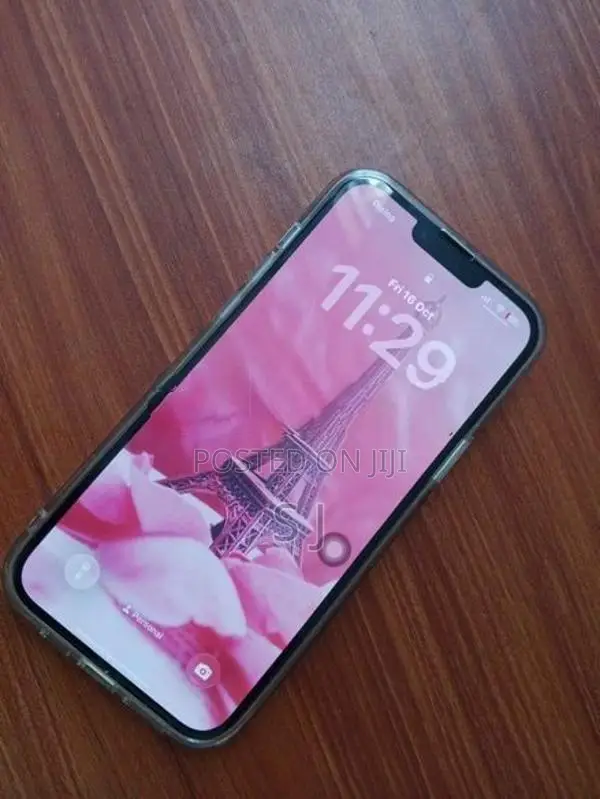 Apple iPhone 13 Pro Max (Used)