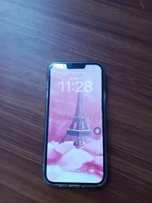 Apple iPhone 13 Pro Max (Used)