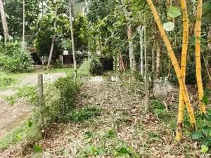 මීරිගම මාලදෙණිය පාරට 100M, පර්චස් 40 ක ඉඩම