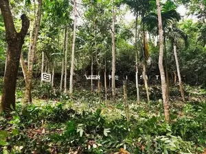 මීරිගම මාලදෙණිය පාරට 100M, පර්චස් 40 ක ඉඩම