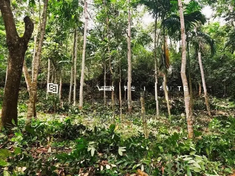 මීරිගම මාලදෙණිය පාරට 100M, පර්චස් 40 ක ඉඩම