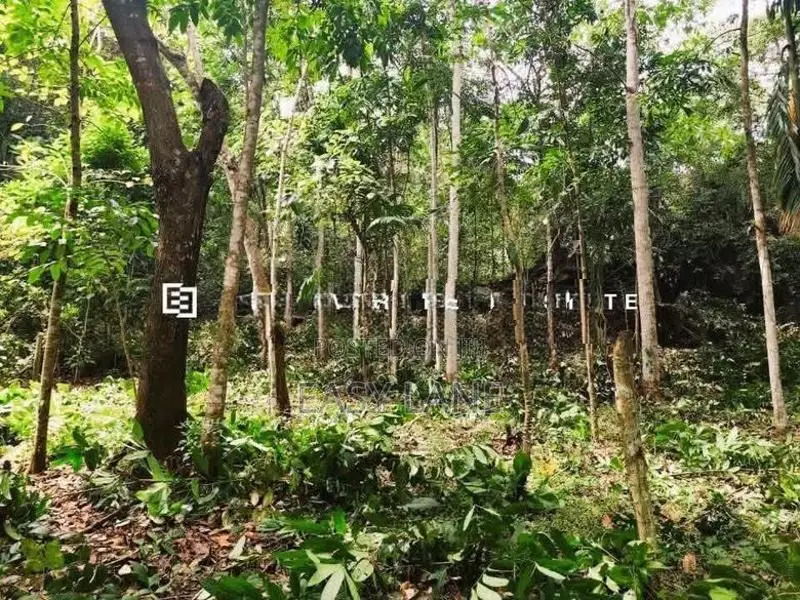 මීරිගම මාලදෙණිය පාරට 100M, පර්චස් 40 ක ඉඩම