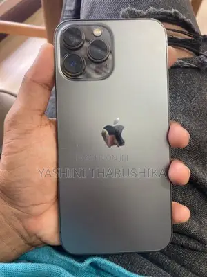 Apple iPhone 13 Pro Max (Used)