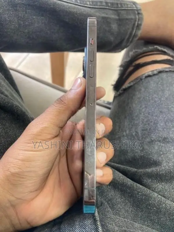 Apple iPhone 13 Pro Max (Used)