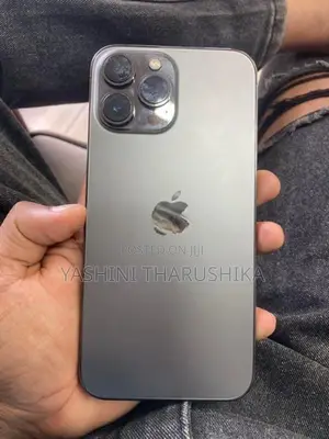 Apple iPhone 13 Pro Max (Used)