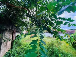 (SP50) 20 P PROPERTY FOR SALE IN KUMARAGEWATTE RD, PELAWATTE