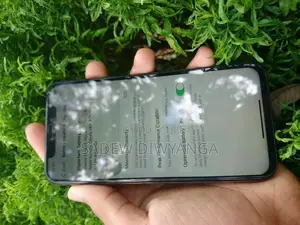 Apple iPhone XS 64GB (Used)