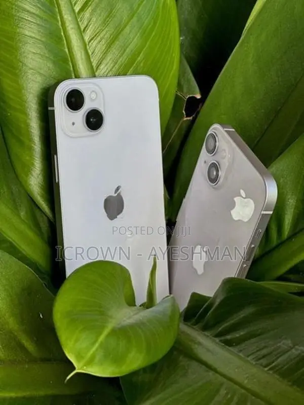 Apple iPhone 14 128GB (Used)