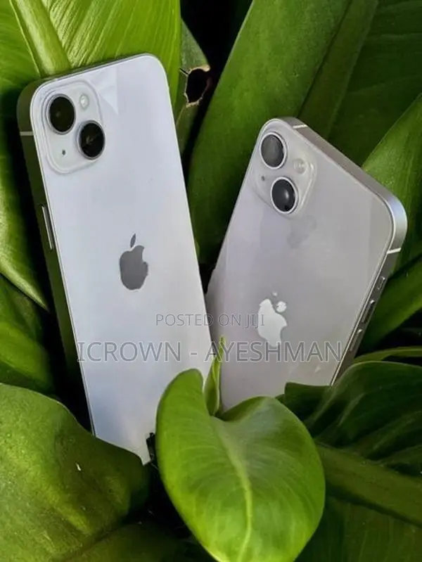 Apple iPhone 14 128GB (Used)