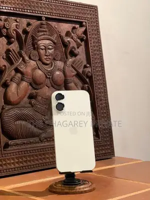 Apple iPhone 17 (Used)
