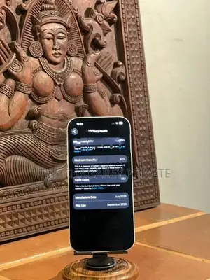 Apple iPhone 17 (Used)
