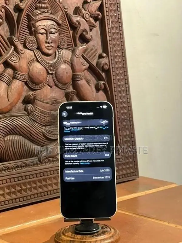 Apple iPhone 17 (Used)