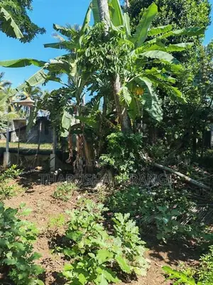 Square Land for Sale Angoda