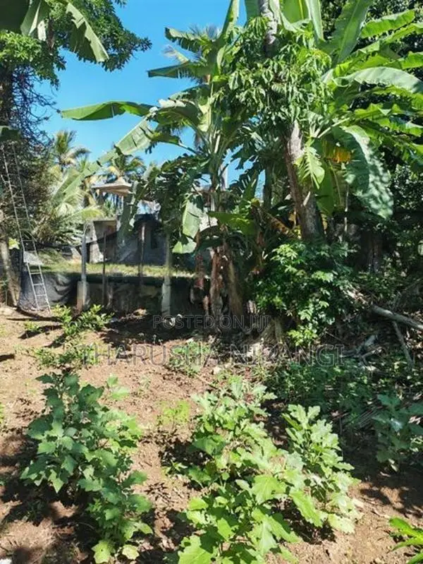 Square Land for Sale Angoda