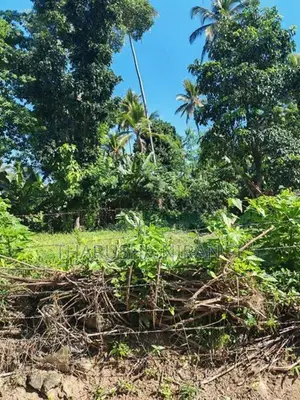 Square Land for Sale Angoda