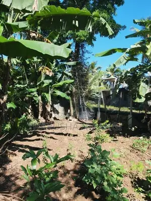 Square Land for Sale Angoda
