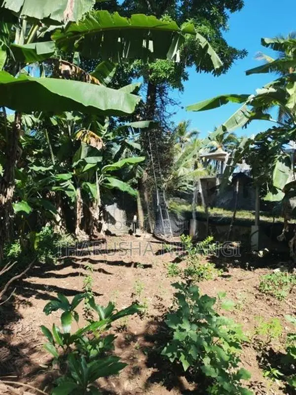 Square Land for Sale Angoda