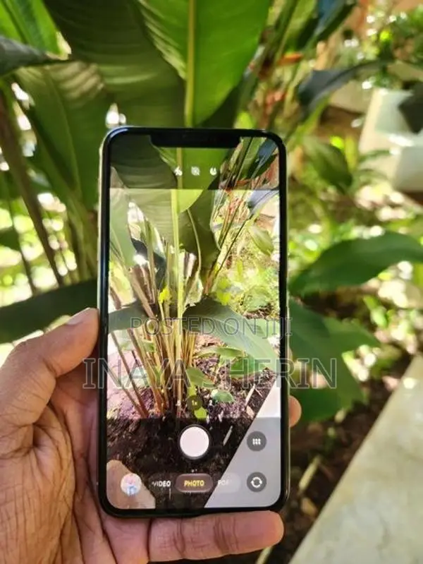 Apple iPhone 11 Pro Max (Used)