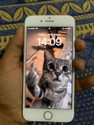 Apple iPhone 8 (Used)