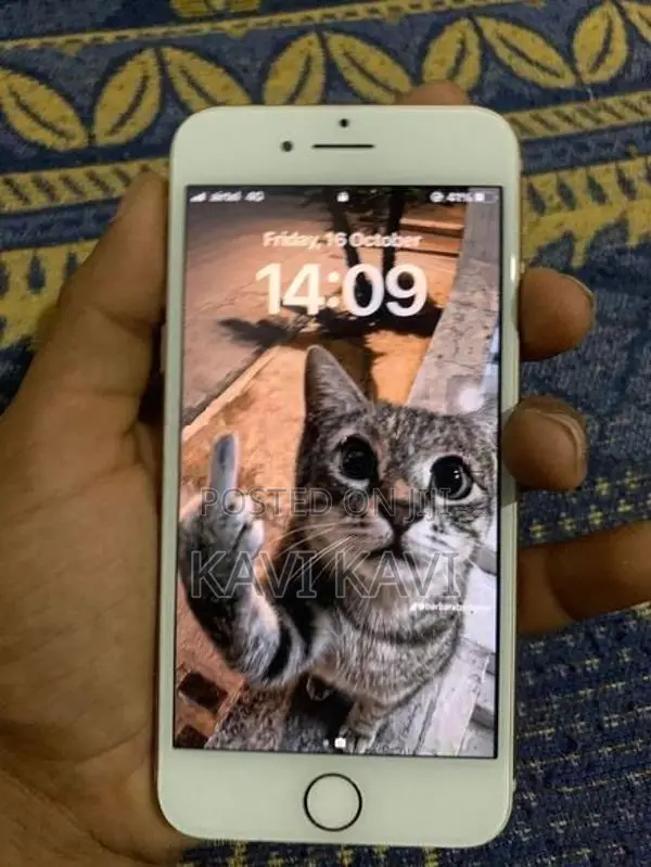 Apple iPhone 8 (Used)