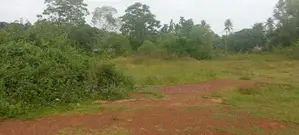 Rigama වැව පාර Land
