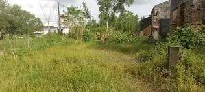 Millaniya Roda L and For Sale Horana
