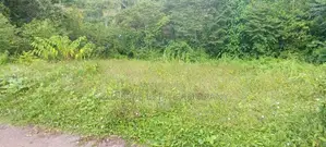 Millaniya Roda L and For Sale Horana