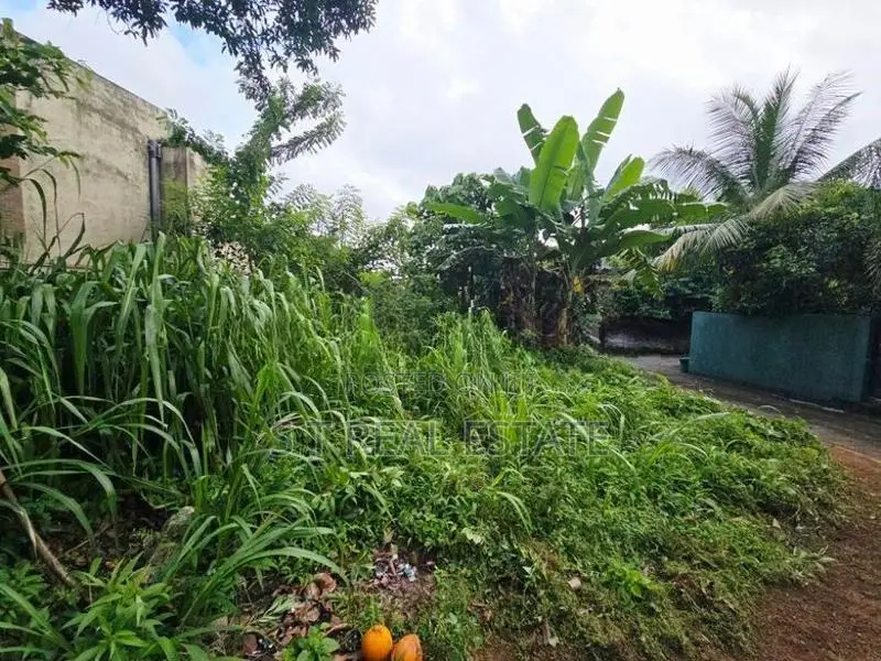 8.70P Prime Land For Sale In Walpola