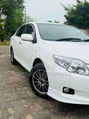 Toyota Axio x Limited 2008