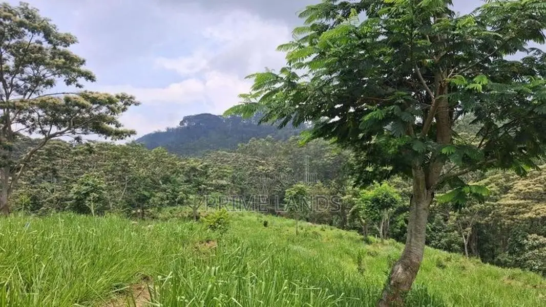 Land For Sale In Pussellawa